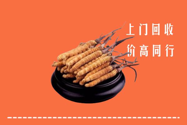 高价求购：苏州回收散虫草
